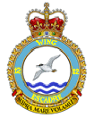12 Wing Shearwater
