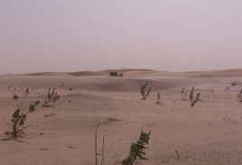 The ever-growing Sahara Desert.