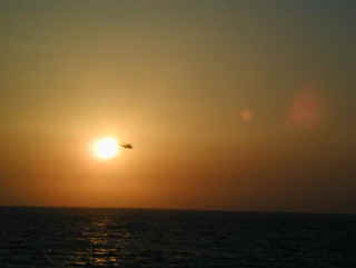 Stalker at Sunset