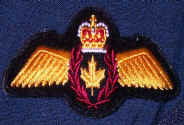 The Pilots